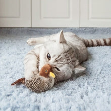 Load image into Gallery viewer, Bird Cat Toy - Cat Lover Gift
