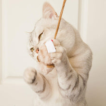 Load image into Gallery viewer, Mouse Cat Toy - Cat Lover Gift
