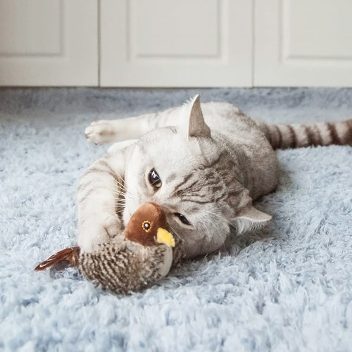 Bird Cat Toy - Cat Lover Gift