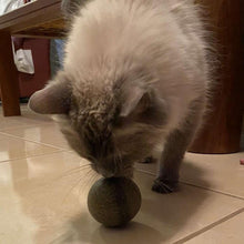 Load image into Gallery viewer, Natural Catnip Ball Toy - Organic &amp; Freshly Made in USA - Cat Lover Gift
