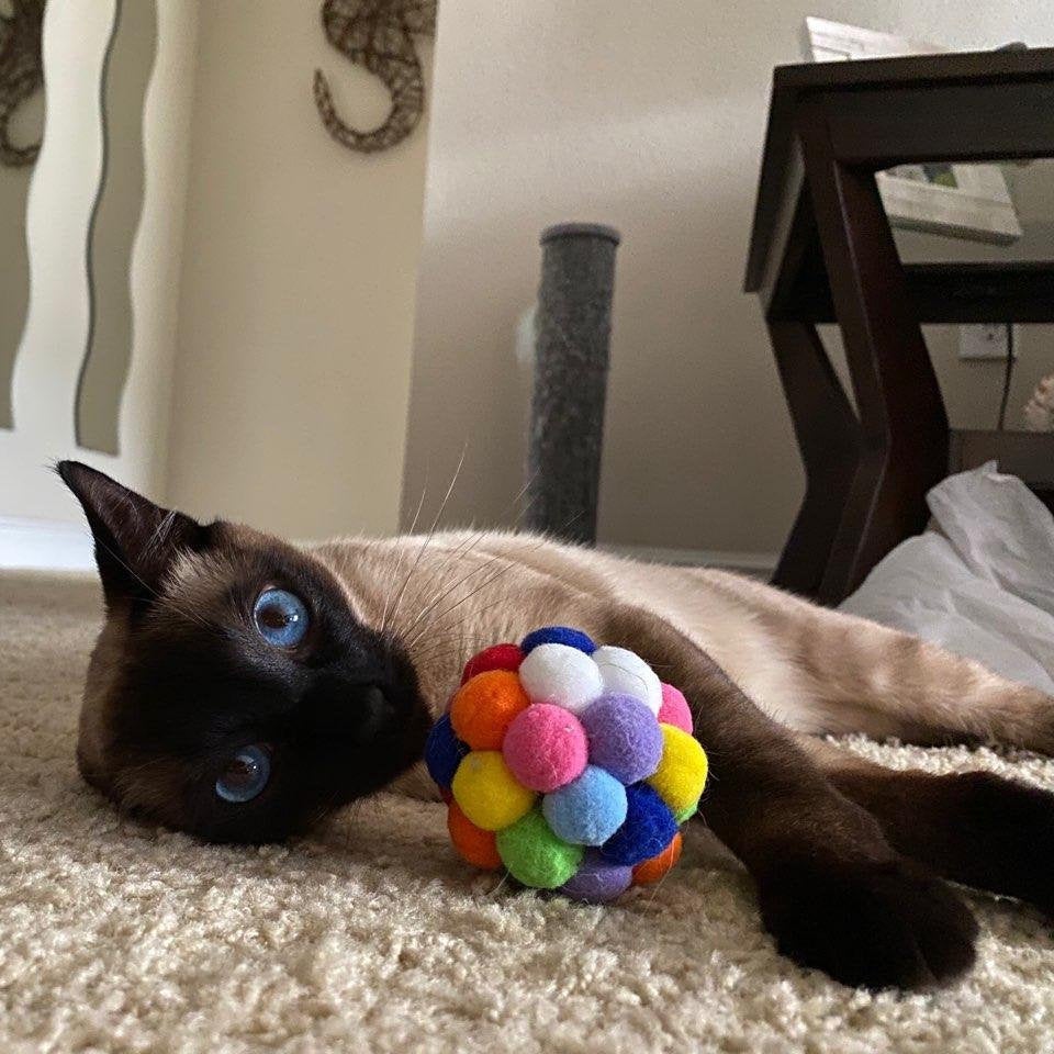 Colorful Catnip Ball with Built-in Rattle - Gifts for Cat Lovers - Cat Lover Gift