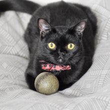 Load image into Gallery viewer, Natural Catnip Ball Toy - Organic &amp; Freshly Made in USA - Cat Lover Gift
