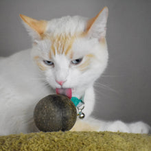 Load image into Gallery viewer, Colorful Catnip Ball &amp; Catnip Ball for Cats (Combo) - Cat Lover Gift
