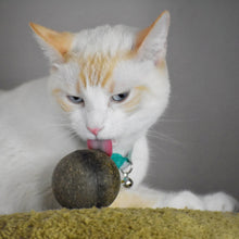 Load image into Gallery viewer, Catnip Egg, Colorful Catnip Ball &amp; Catnip Ball (Combo) for Cats - Cat Lover Gift
